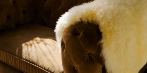 Plaid fausse fourrure sur fauteuil