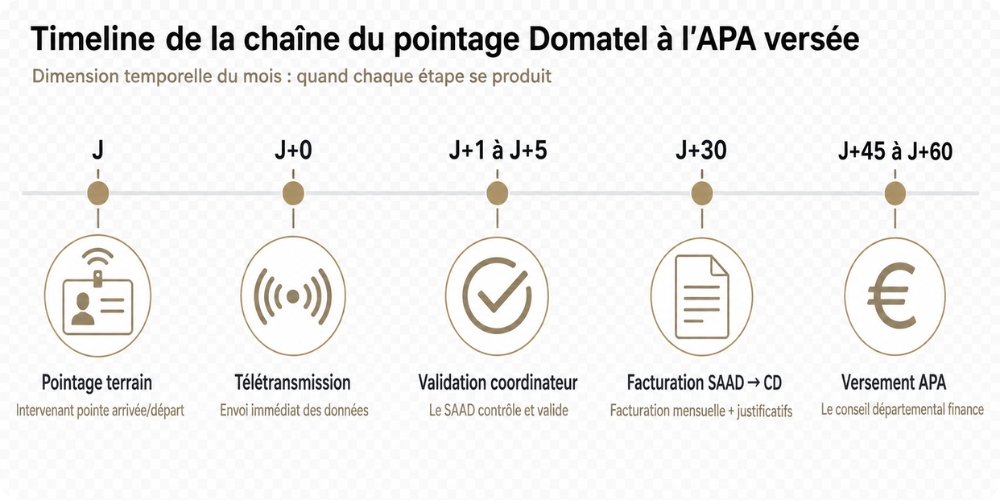 Timeline de la chaîne complète du pointage Domatel à l'APA versée, de J à J+30
