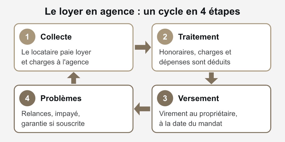 Cycle du loyer en agence immobilière en 4 étapes : collecte, traitement, versement au propriétaire, gestion des problèmes