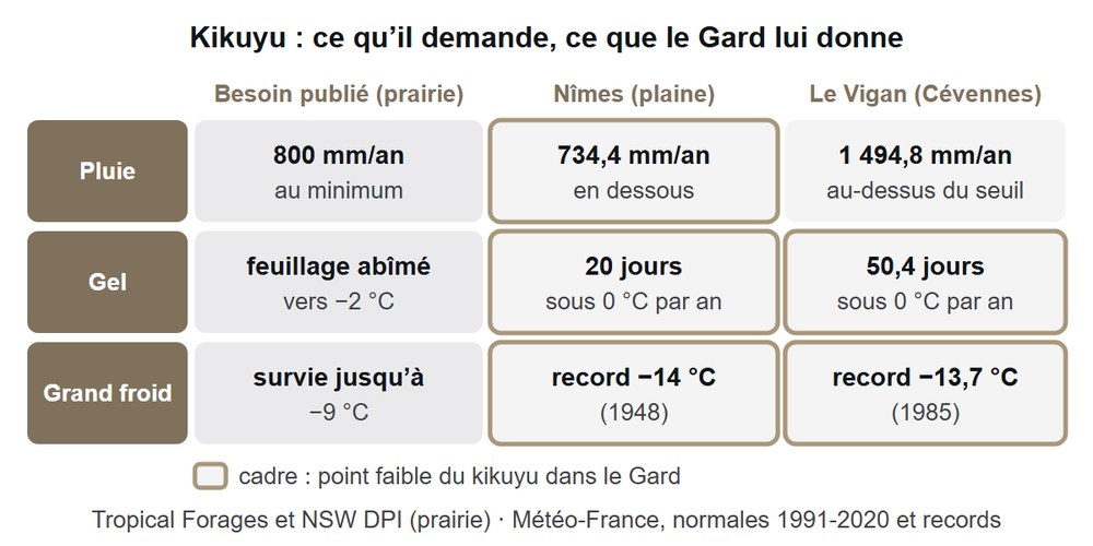 Gazon kikuyu face au climat de Nîmes et du Vigan : pluie, jours de gel et records de froid comparés aux besoins