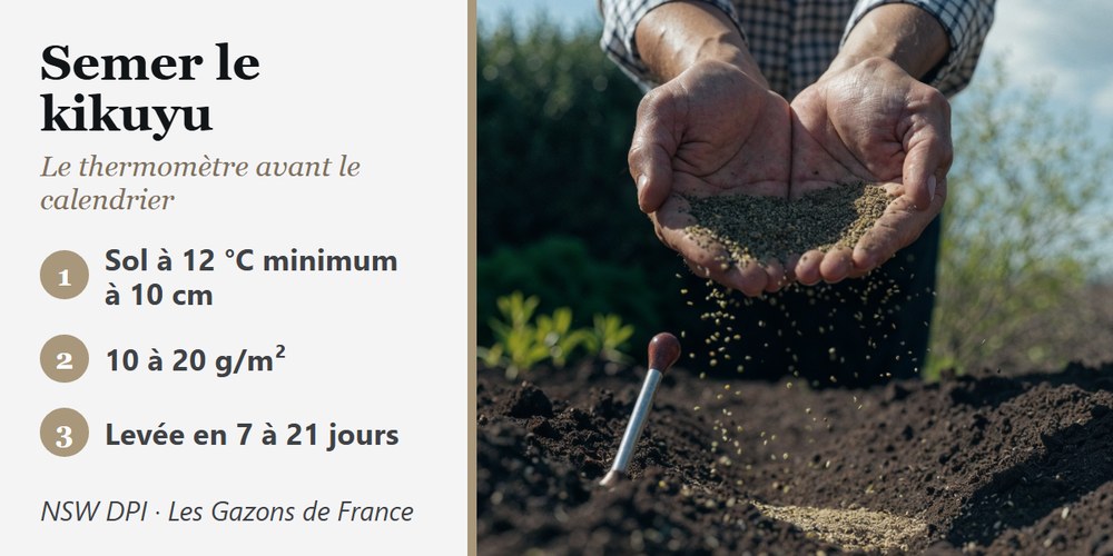Mains qui sèment des graines au-dessus d’un thermomètre de sol : kikuyu semé à 12 °C, 10 à 20 g/m², levée en 7 à 21 jours