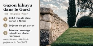 Pelouse dense au pied d’un mur de pierre sèche, cyprès au fond, et climat du Gard : 734,4 mm de pluie, 20 jours de gel