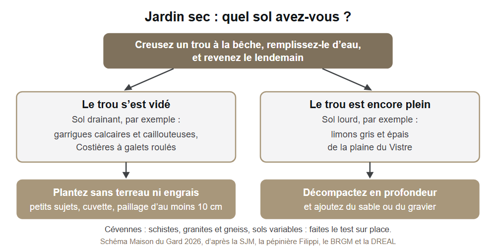 Arbre de décision pour reconnaître son sol et le préparer avant de créer un jardin sec dans le Gard